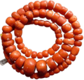 coral_text