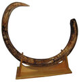 mammoth_t025_big1